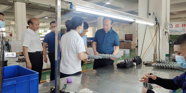 廣水市政協(xié)黨組書(shū)記、主席何慶海陪同大悟縣政協(xié)考察團到德樂(lè )電力實(shí)地調研