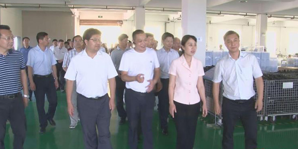 原隨州市市委書(shū)記,現湖北省副省長(cháng)陳安麗參觀(guān)考察湖北德樂(lè )電力有限公司！